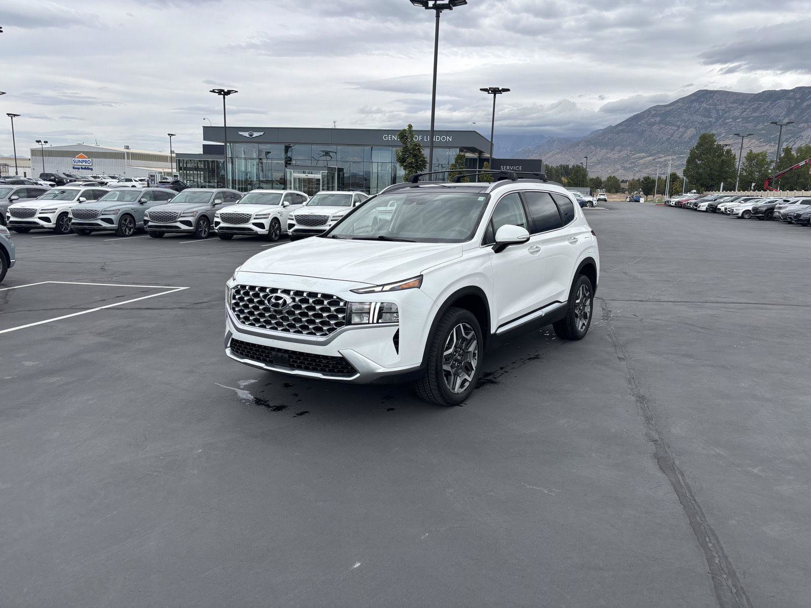 hyundai santa fe 2022 KM8S3DA12NU040610 image hyundai santa fe 2022 KM8S3DA12NU040610 image
